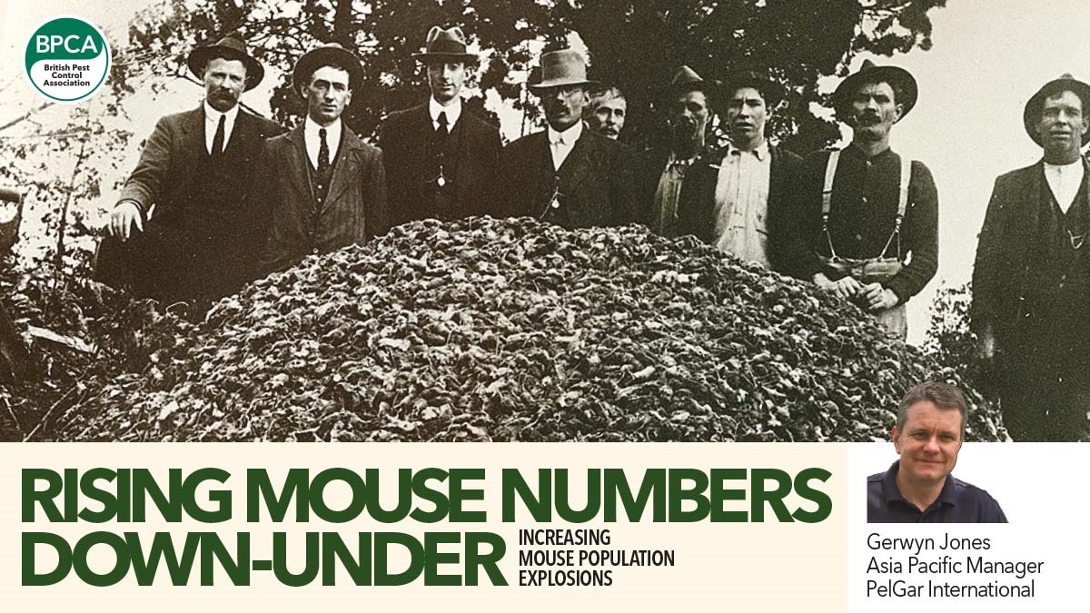 INCREASING MOUSE POPULATION EXPLOSIONS  in Australia PPC magazine feature